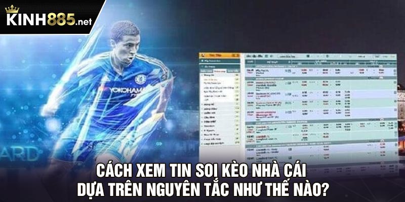 Cách xem tin soi kèo nhà cái dựa trên nguyên tắc như thế nào?