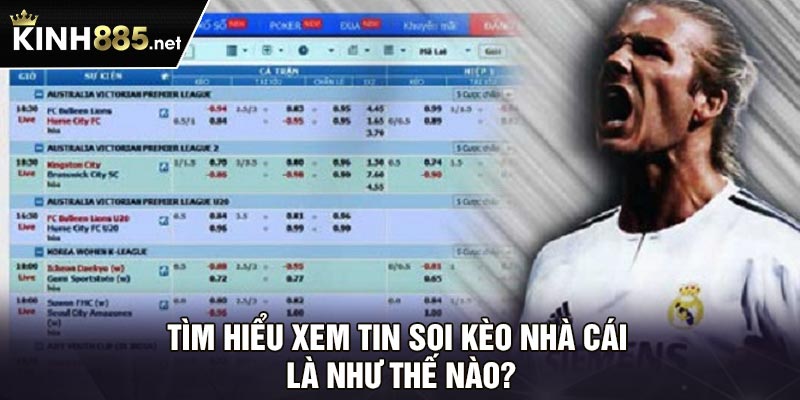 Tìm hiểu xem tin soi kèo nhà cái là như thế nào?